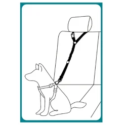 Basic Travel bungee turvavyö pääntukeen