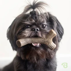 Benebone Bacon Stick