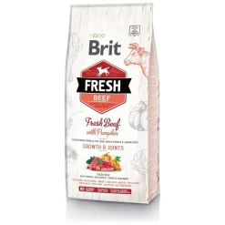 Brit Fresh Beef&Pumpkin PuppyLarge