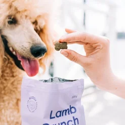 Buddy Lammasherkku koiralle 150g