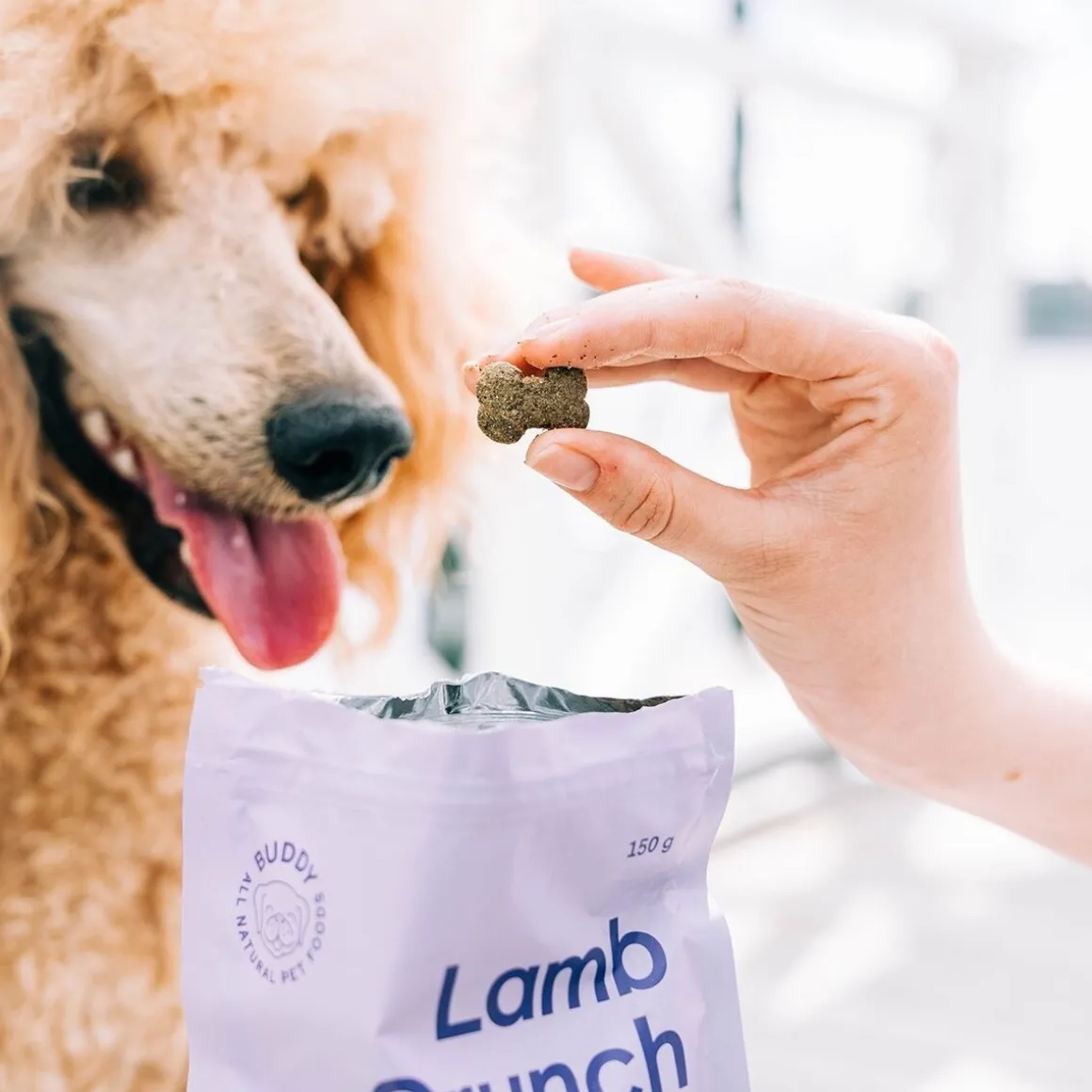 Buddy Lammasherkku koiralle 150g