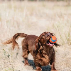 Chuckit Ultra Ball 2 kpl