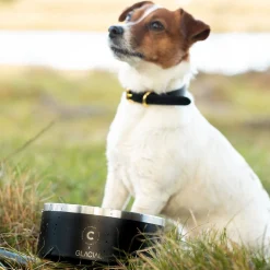 Collar of Sweden teräskuppi liukuesteellä