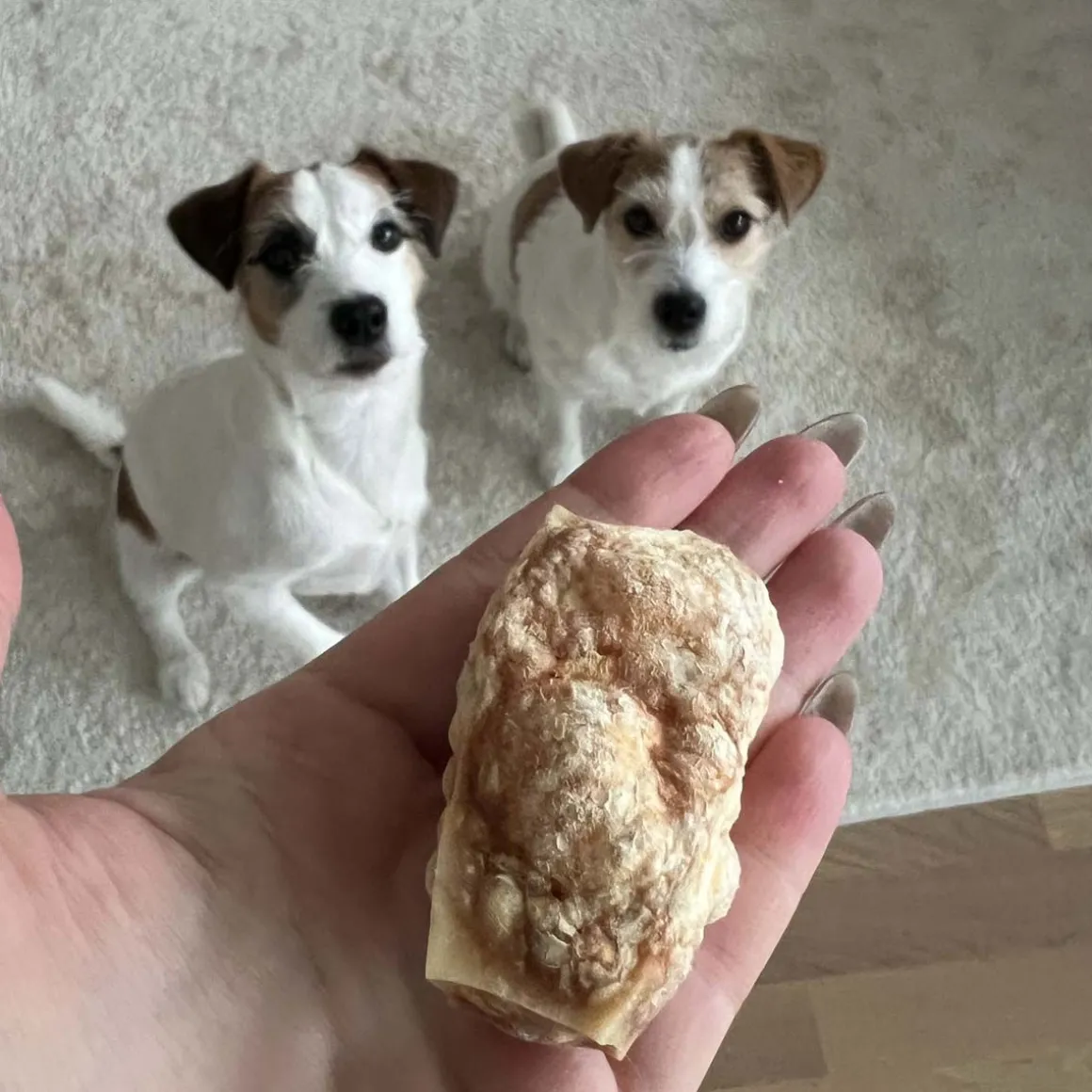 Effe Chews juustopuruluu koiralle