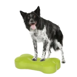 FitPaws K9FitBone, 58 x 29 x 10 cm