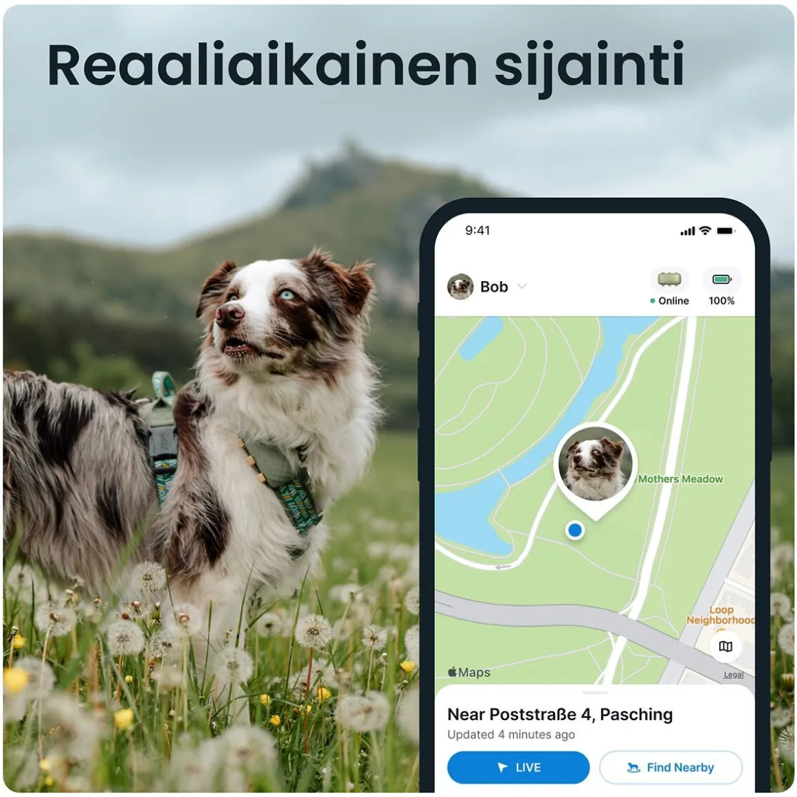 GPS koiralle Tractive XL