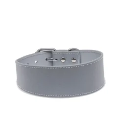 Heijastava panta Collar of Sweden