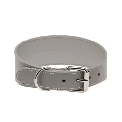 Heijastava panta Collar of Sweden