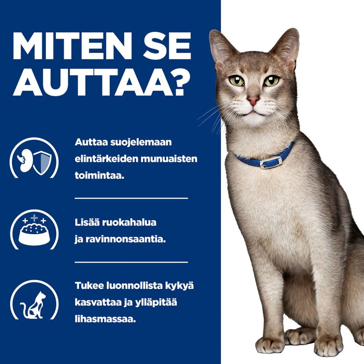 Hill's Prescription Diet Feline k/d Kidney Care Tuna