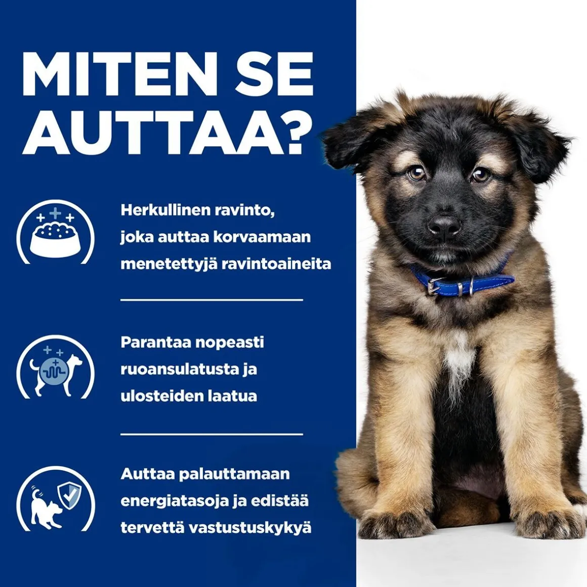 Hill's Prescription Diet Puppy i/d