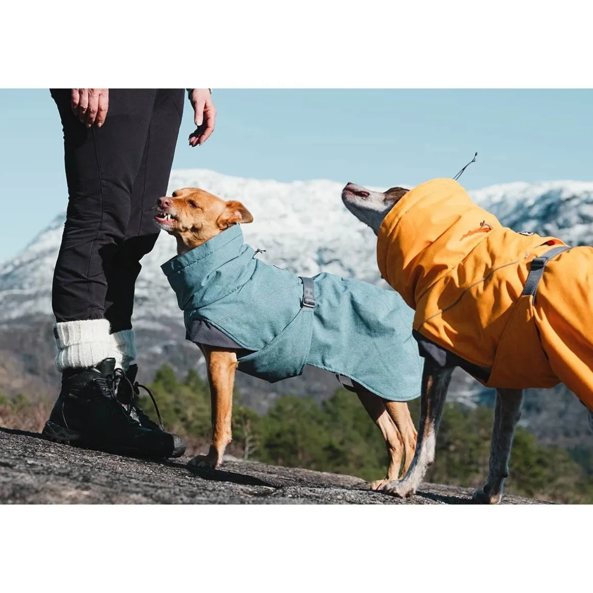 Hurtta Expedition parka tyrni