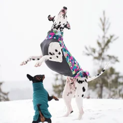 JumppaPomppa, Trail