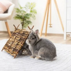 Kerbl pieneläimen tiipii-teltta