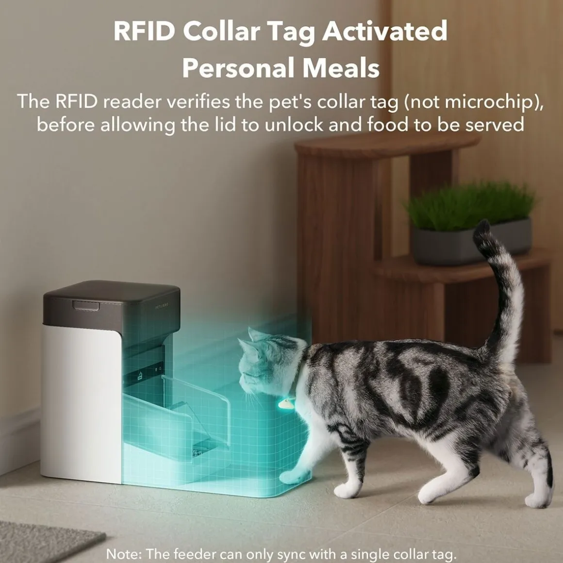 Kissan ruokinta-automaatti Petlibro One RFID-lukijalla