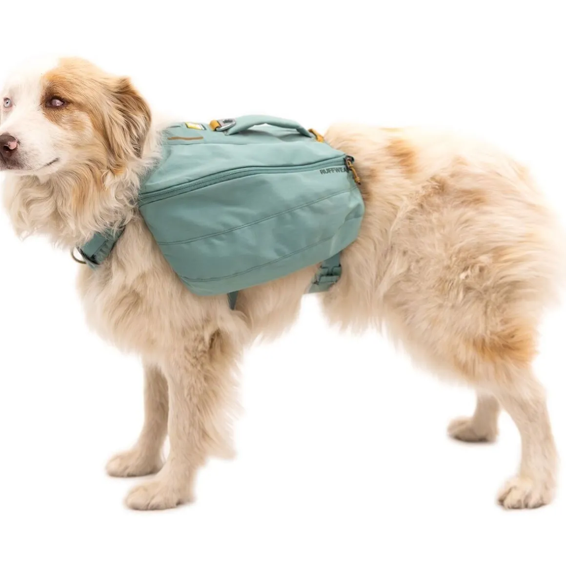Koiranreppu Ruffwear Front Range, River Rock Green