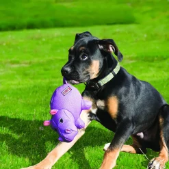 KONG Phatz Hippo, M