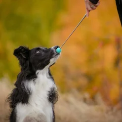 Kosketuskeppi Pro Dog Target telesk.