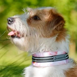 Kusse & Kutta puolikiristävä panta, hento ruusu