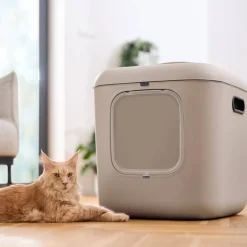 MyPet Biala Kissanvessa XL