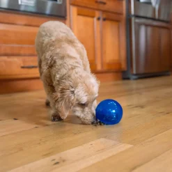 Nina Ottosson Outward Hound Lil Snoop, sininen