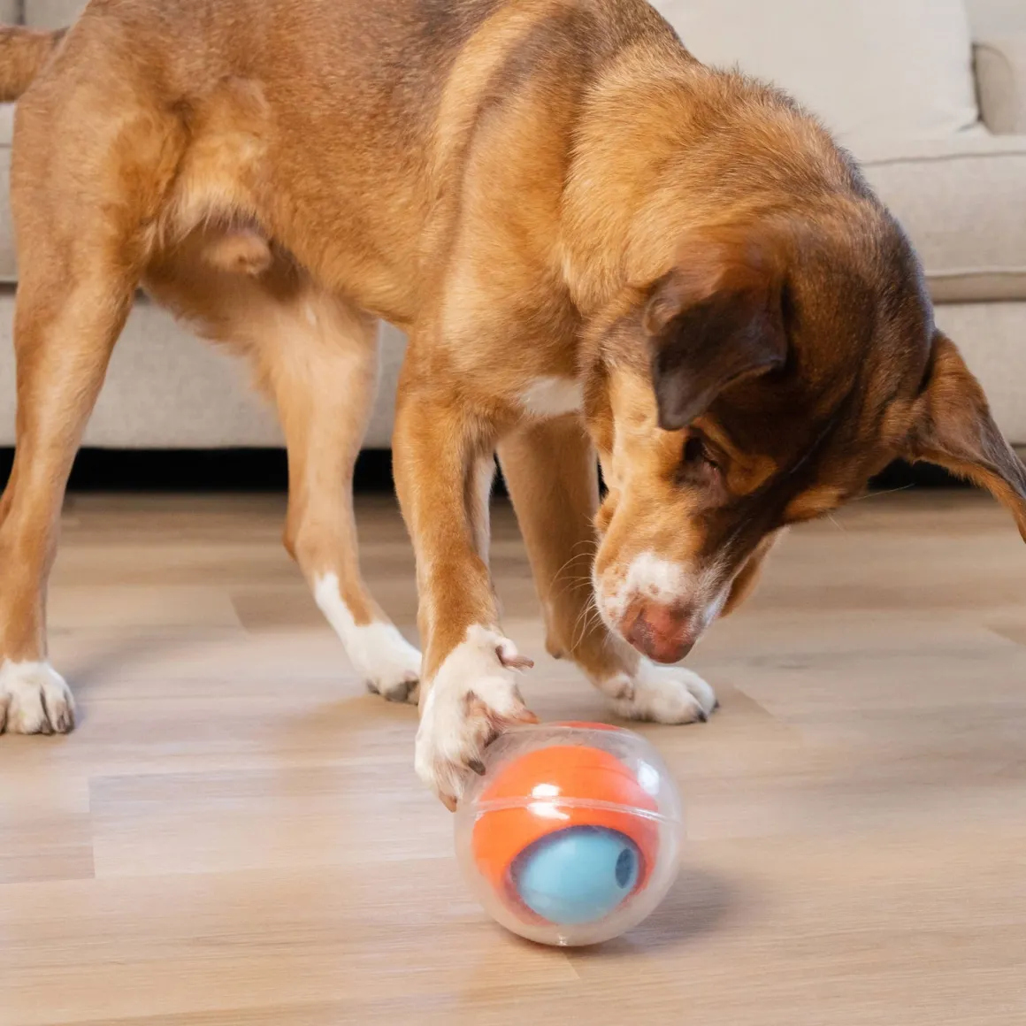 Nina Ottosson Topsy Treatball aktivointilelu
