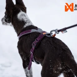 Non-Stop Dogwear Line harness 5.0, violetti