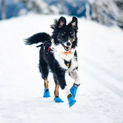 Non-stop Long Distance Bootie