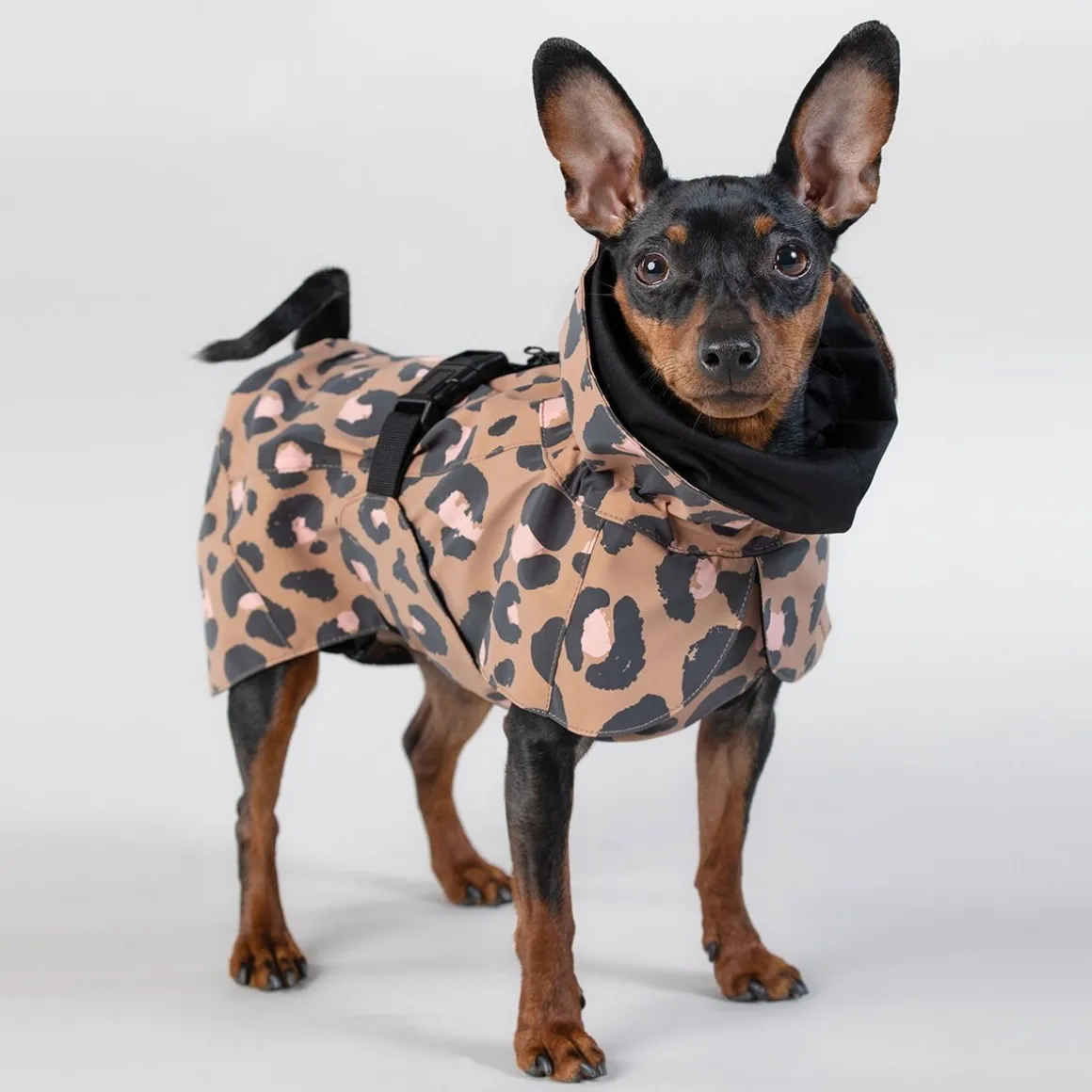 PAIKKA Visibility Raincoat Lite -koiran sadetakki, leo