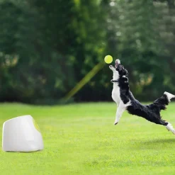Pallotykki All for Paws Hyper Fetch Maxi