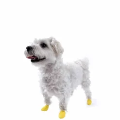 PawZ koiran suojatossut, 12 kpl
