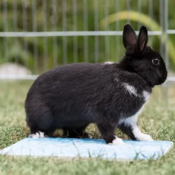 Pieneläimen viilennysalusta Trixie