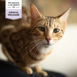 Prima Cat Crunchy Skin & Coat 40 g