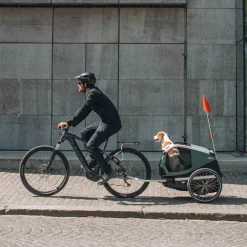 Pyöräkärry koiralle Thule Bexey
