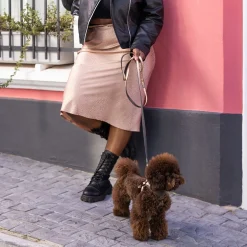 Rogz Urban talutin 180 cm