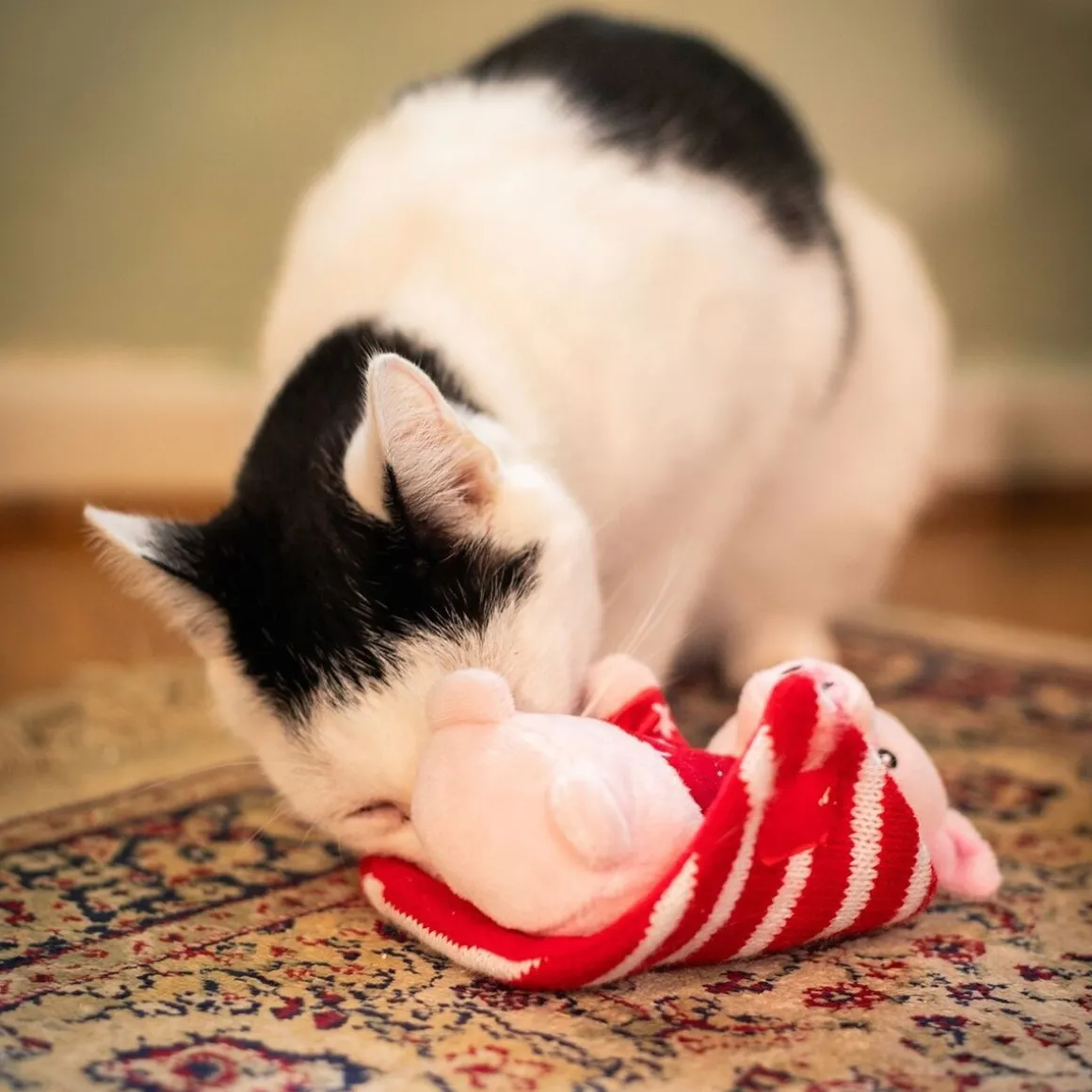 Rosewood Penny Pig in Blanket Toy
