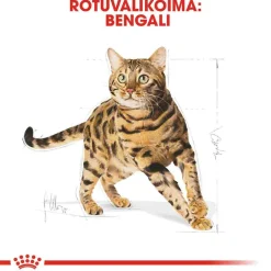 Royal Canin Bengal