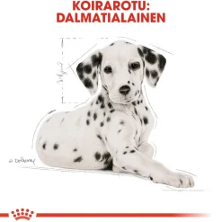 Royal Canin Breed Dalmatian Puppy