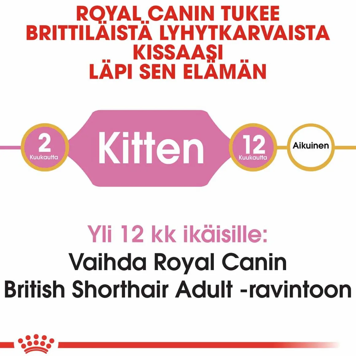 Royal Canin British Shorthair Kitten, 2 kg