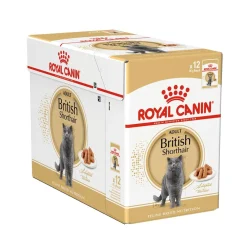 Royal Canin British Shorthair 85g, 48-pack