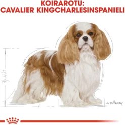 Royal Canin Cavalier Adult