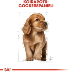 Royal Canin Cocker Puppy 3 kg