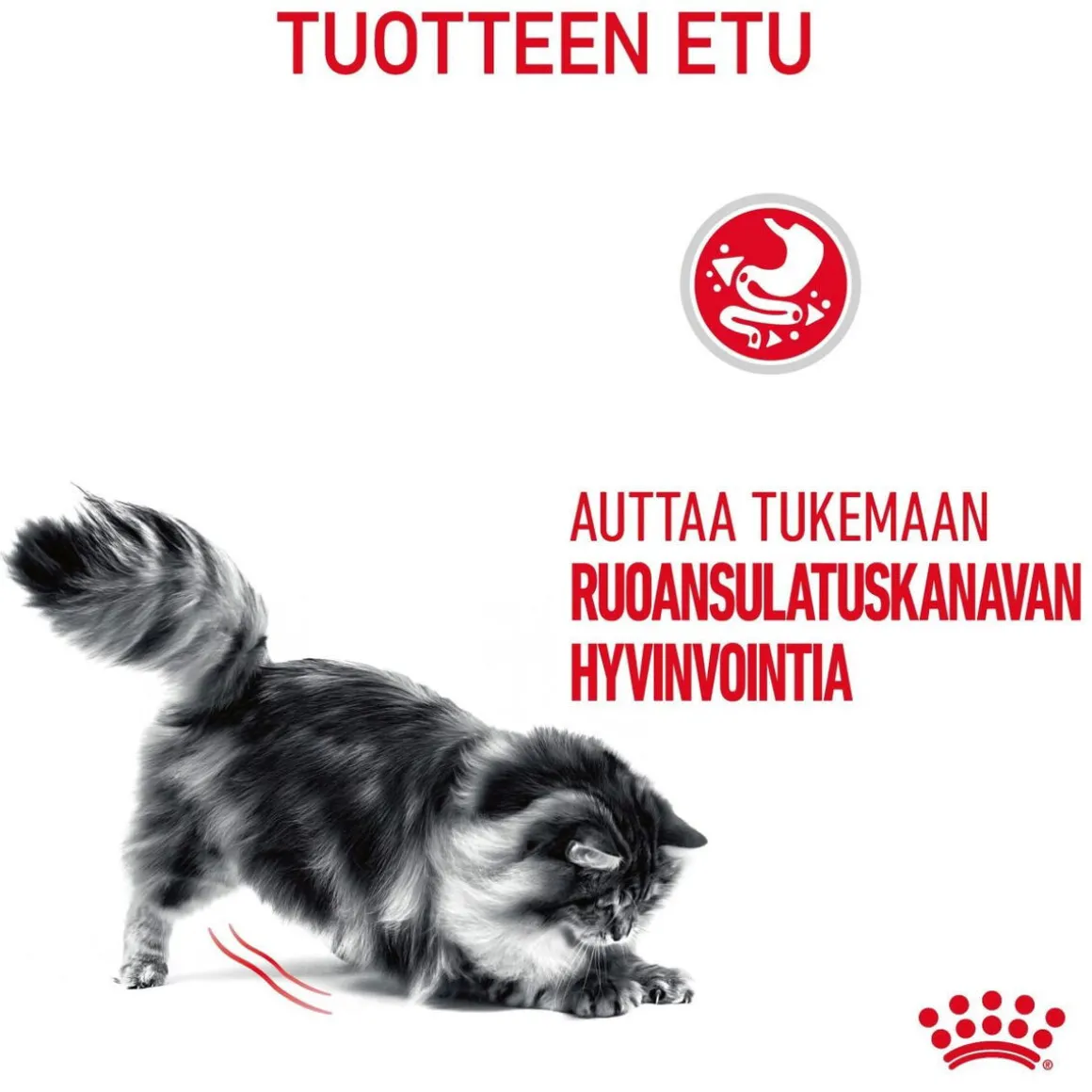 Royal Canin Digestive Care