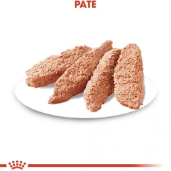Royal Canin Digestive Care wet 48x85 g