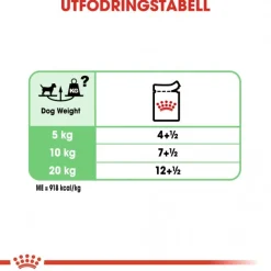 Royal Canin Digestive Care wet 48x85 g