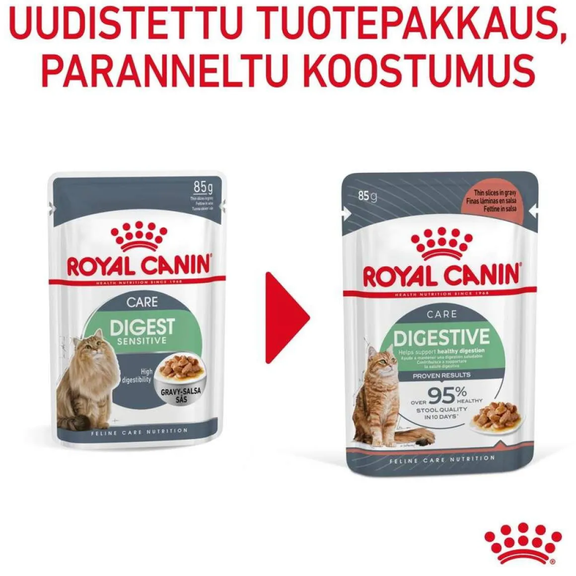 Royal Canin Digest Sensitive Gravy 85g, 48-pack