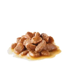 Royal Canin Digest Sensitive Gravy 85g, 48-pack