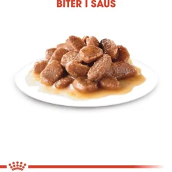 Royal Canin Digest Sensitive Gravy 85g, 48-pack