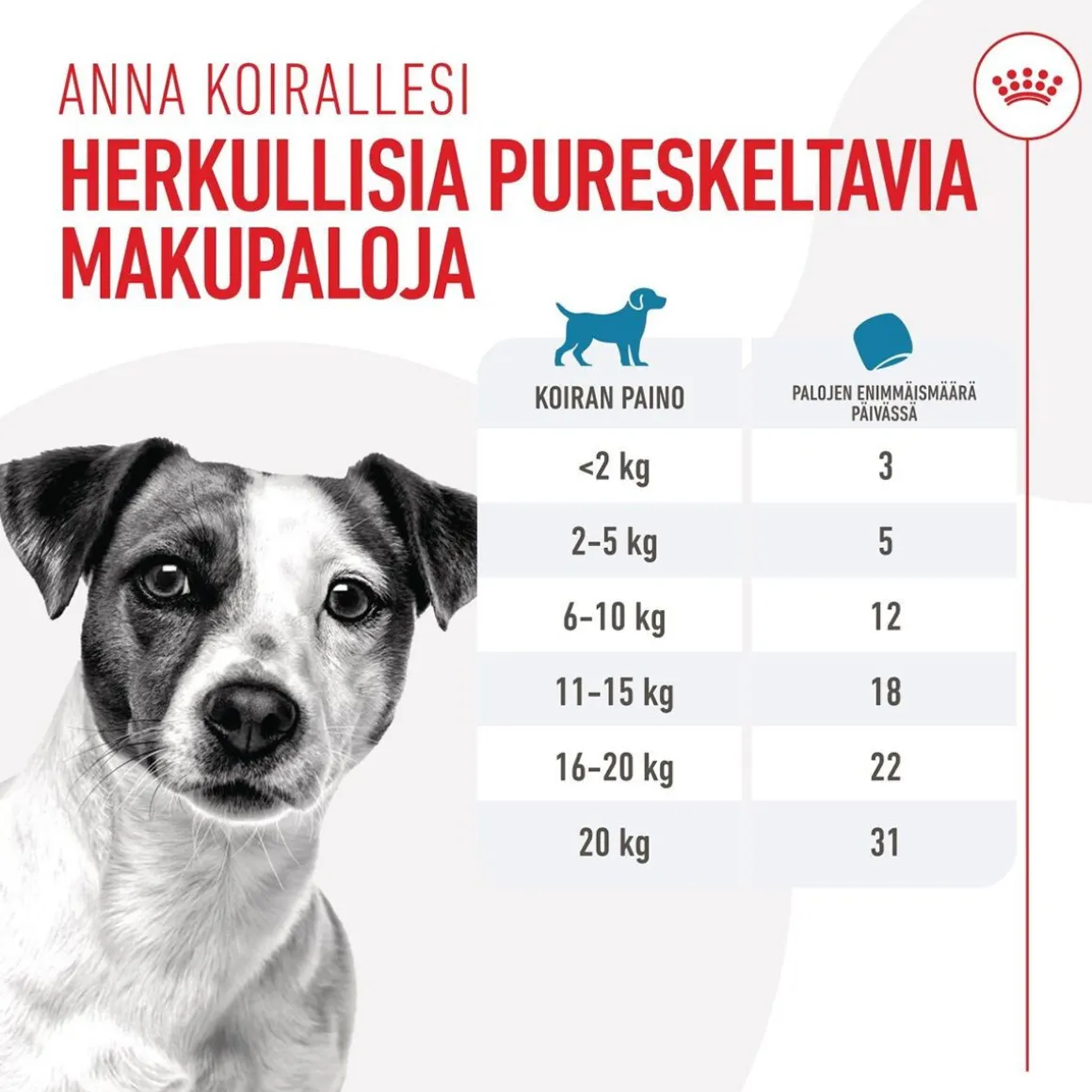 Royal Canin Dog Training Treats 110g