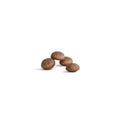 Royal Canin FHN Ageing Sterilised 11+