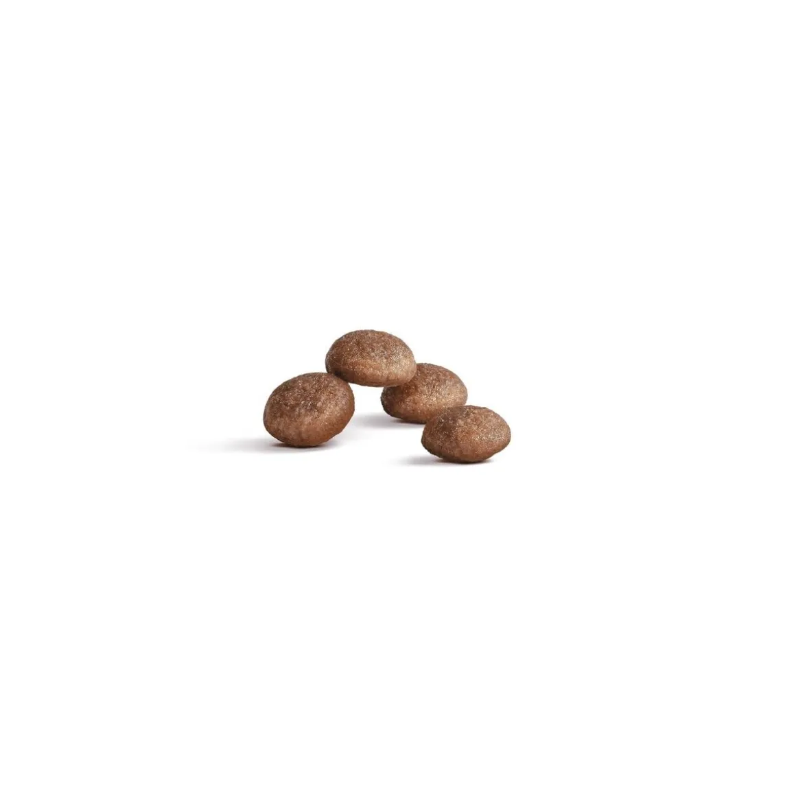 Royal Canin FHN Ageing Sterilised 11+